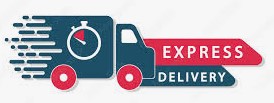 Package 0-30kg Express delivery from Austria